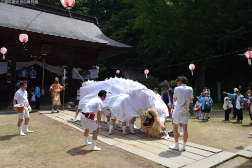 s-98_田村大元神社の長獅子舞 (1)
