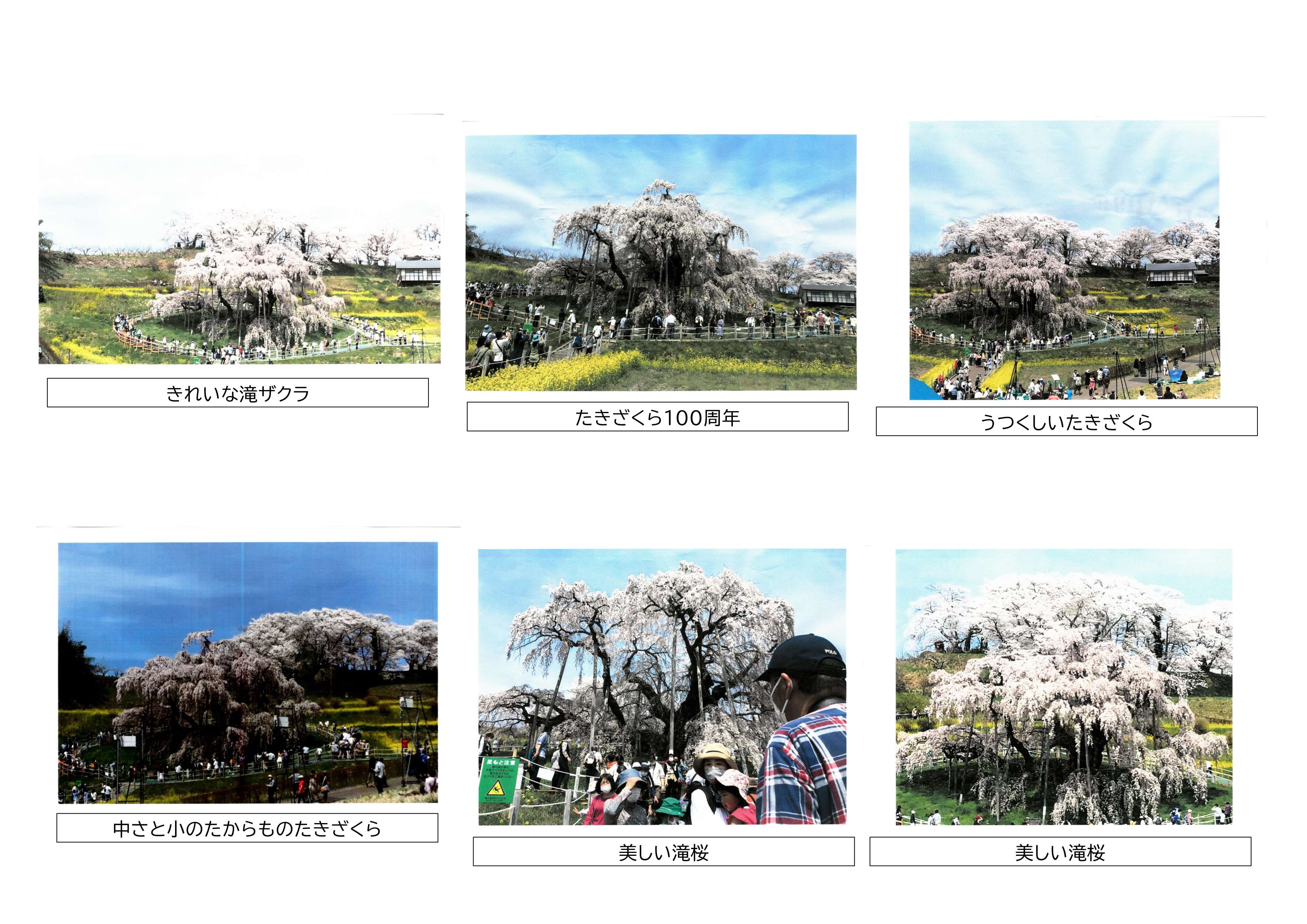 フォト2／_3