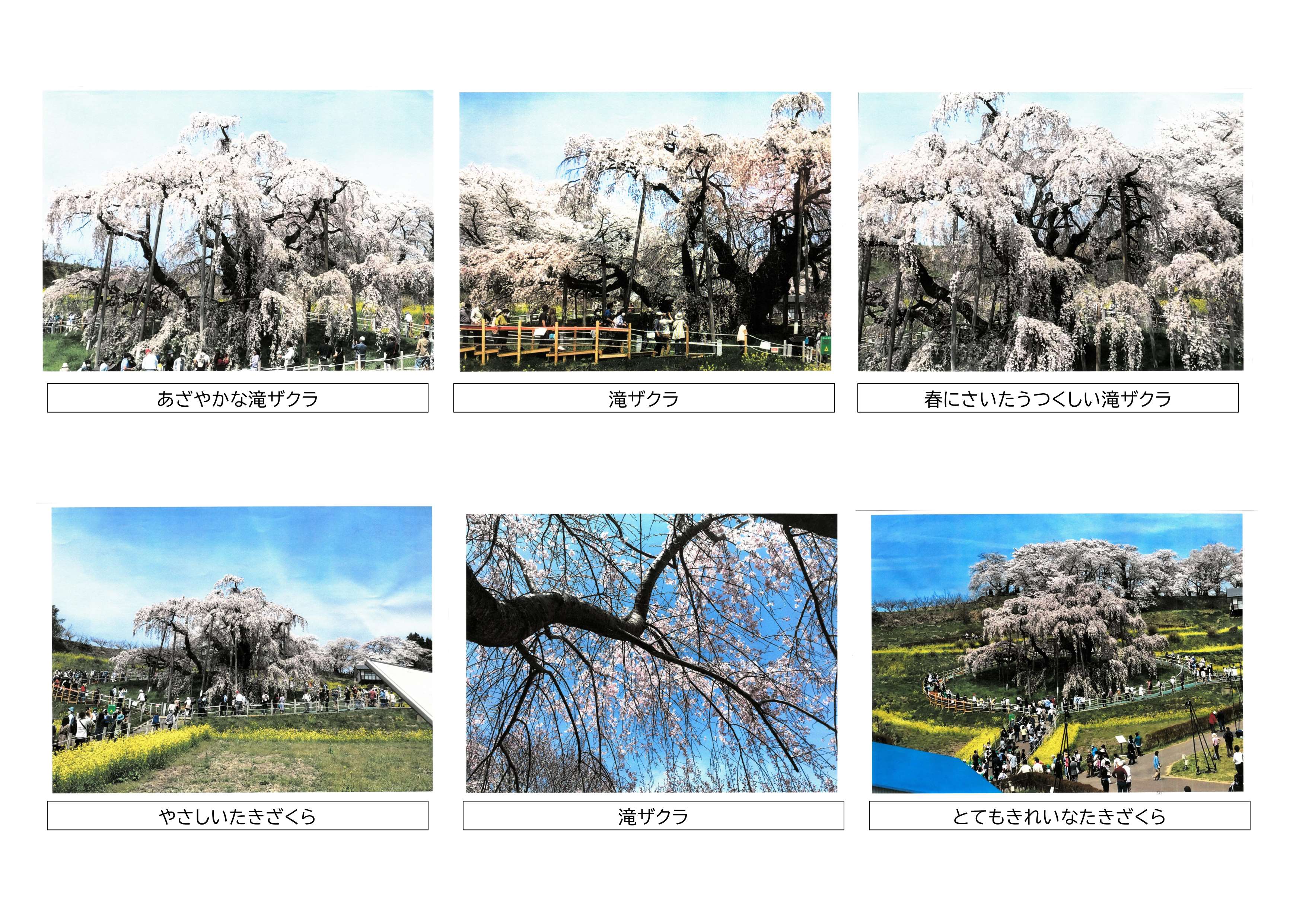 フォト2／_4