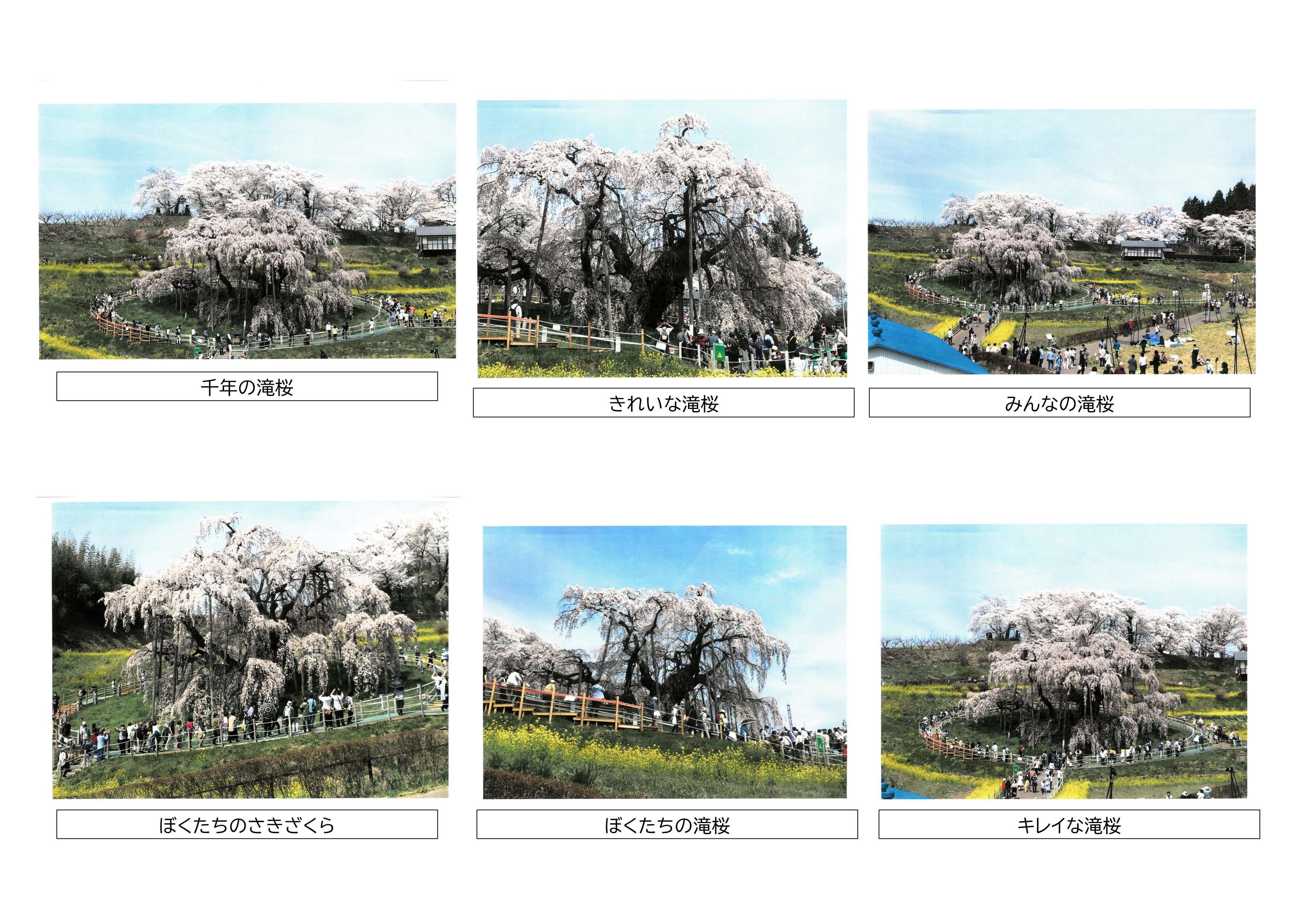 フォト2／_5