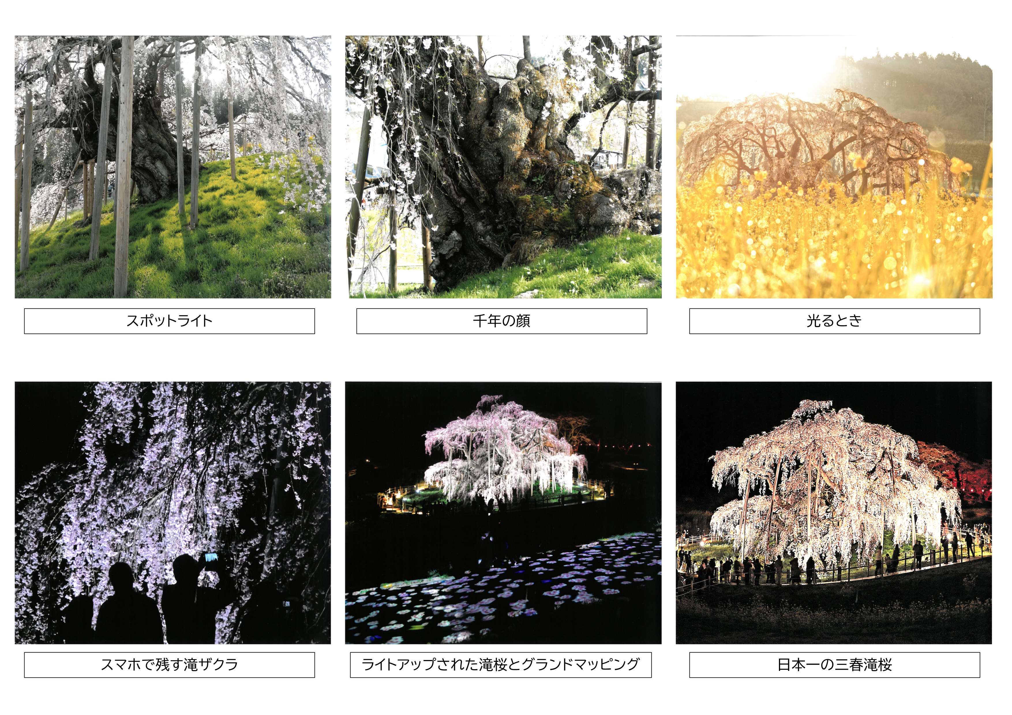 フォト3／_5